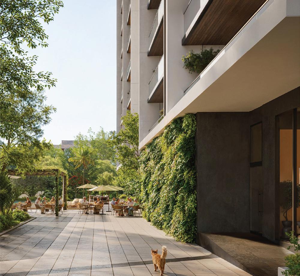 The Wellness Trail beside a green wall leading to garden seating